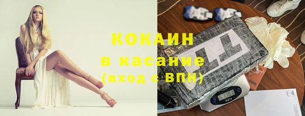 прущие грибы Алексин