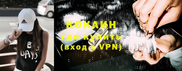 прущие грибы Алексин