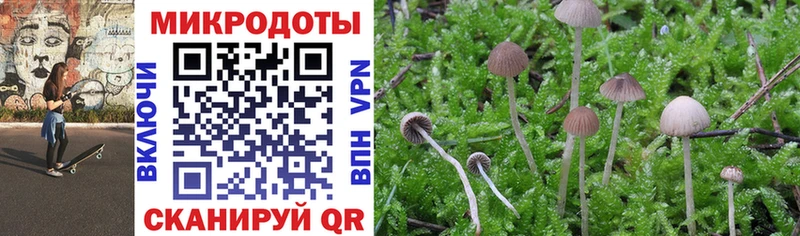 Галлюциногенные грибы MAGIC MUSHROOMS Данилов